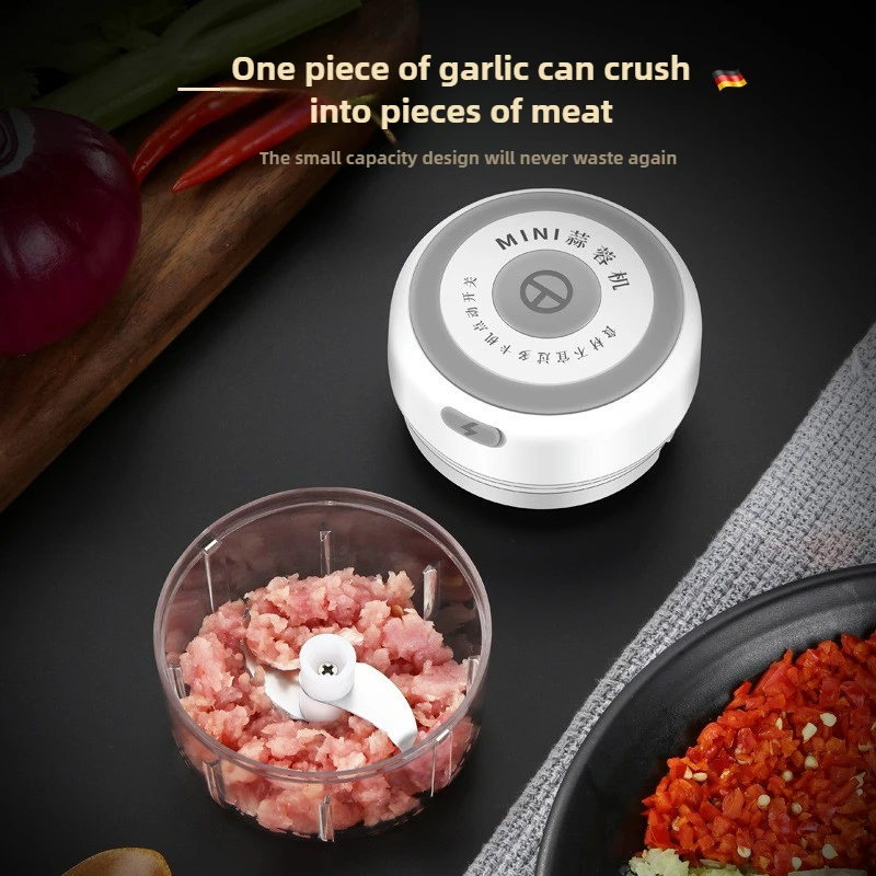 Electric Mini Garlic Chopper 1 - Baby Food Vegetable recension och pris
