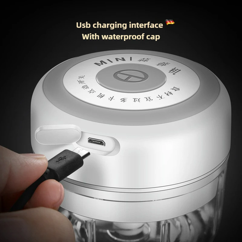 Electric Mini Garlic Chopper 1 - Baby Food Vegetable recension och pris