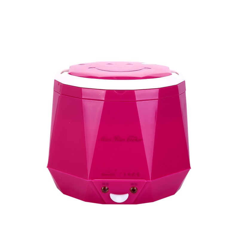 DC12V/DC24V/AC220V 100W POWER  - Baby Food Stew recension och pris